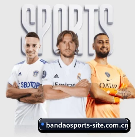 半岛体育官方入口 APP | BandaoSports
